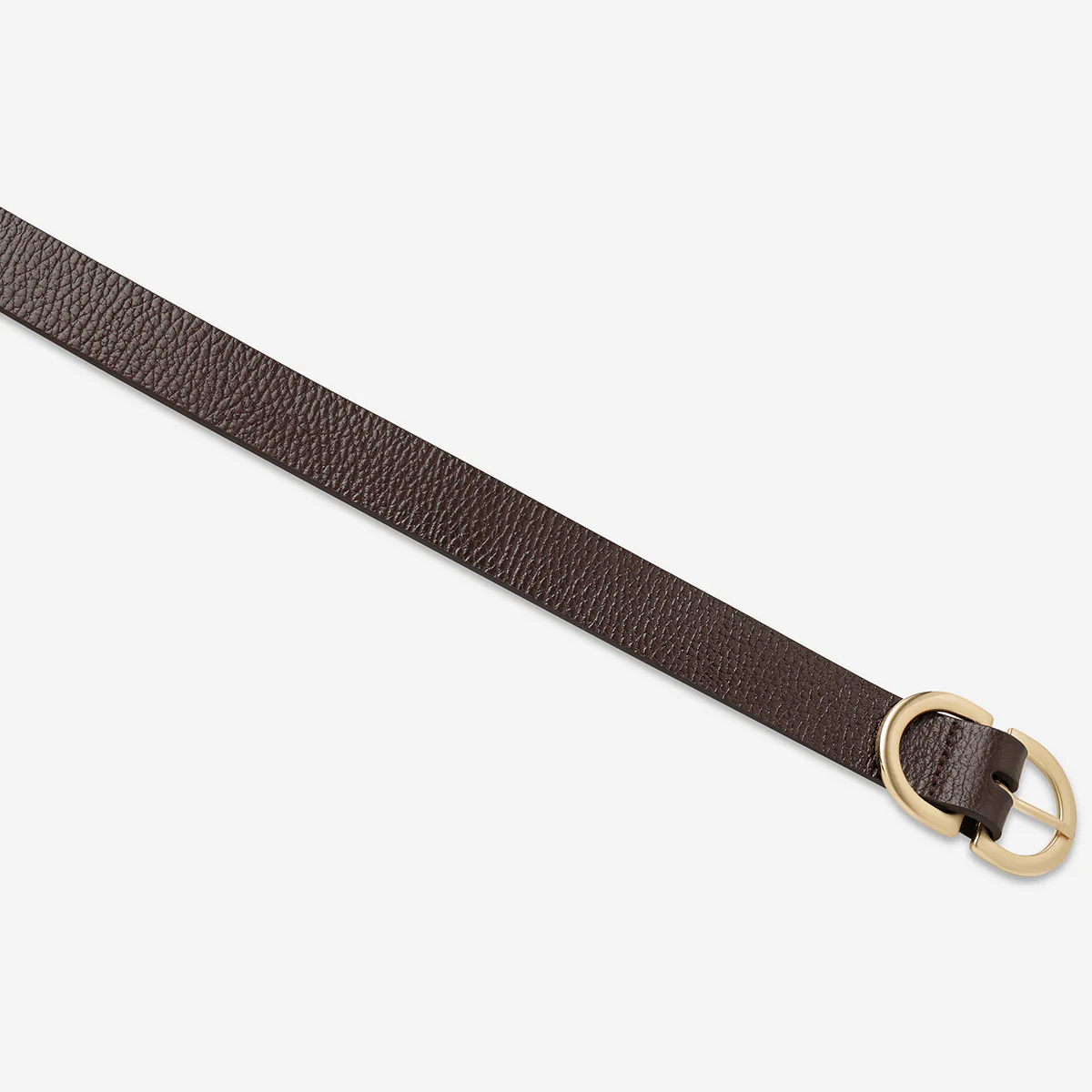 In Reverse Belt - Choc/Gold - Image 4