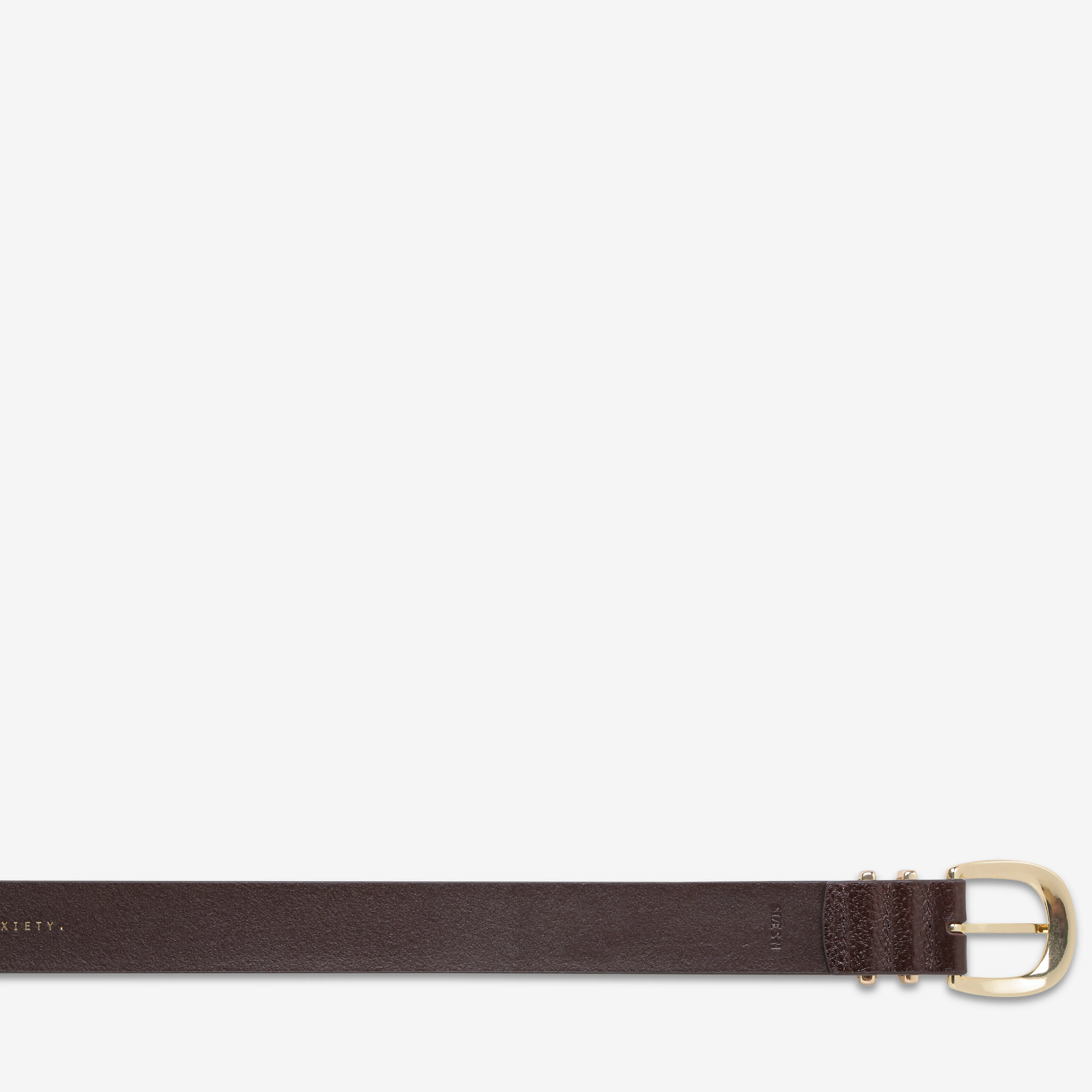Let It Be Belt - Choc/Gold - Image 6