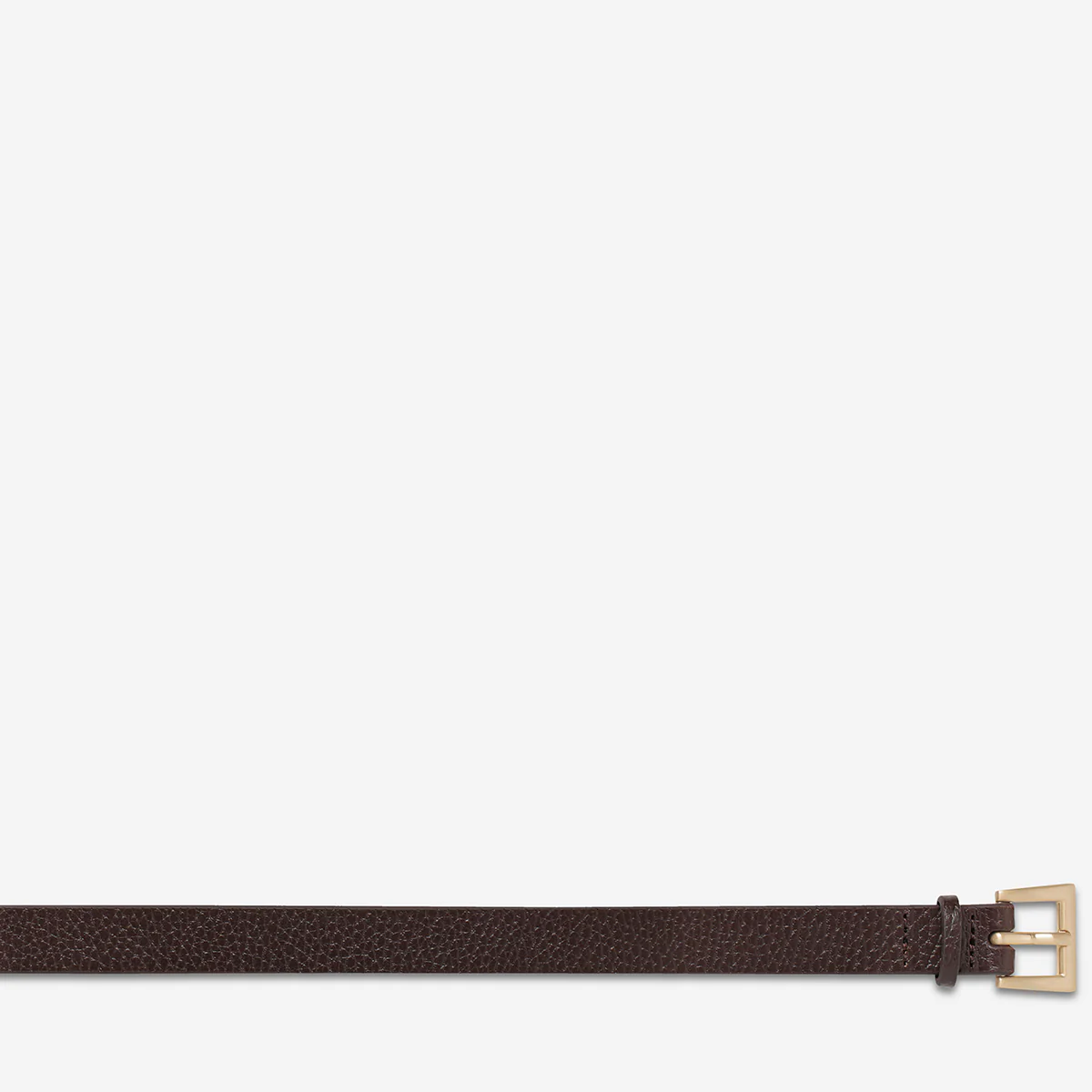 Part Of Me Belt - Choc/Gold - Image 5